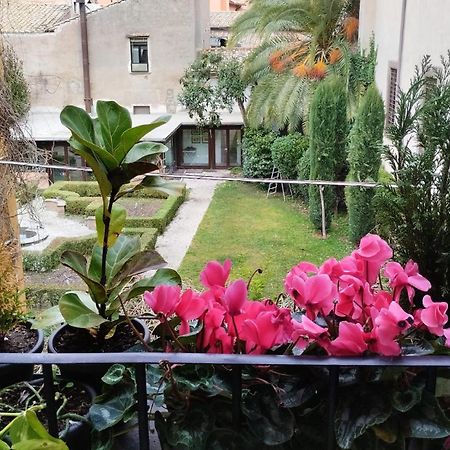 Ottantotto Viterbo Bed & Breakfast Dış mekan fotoğraf