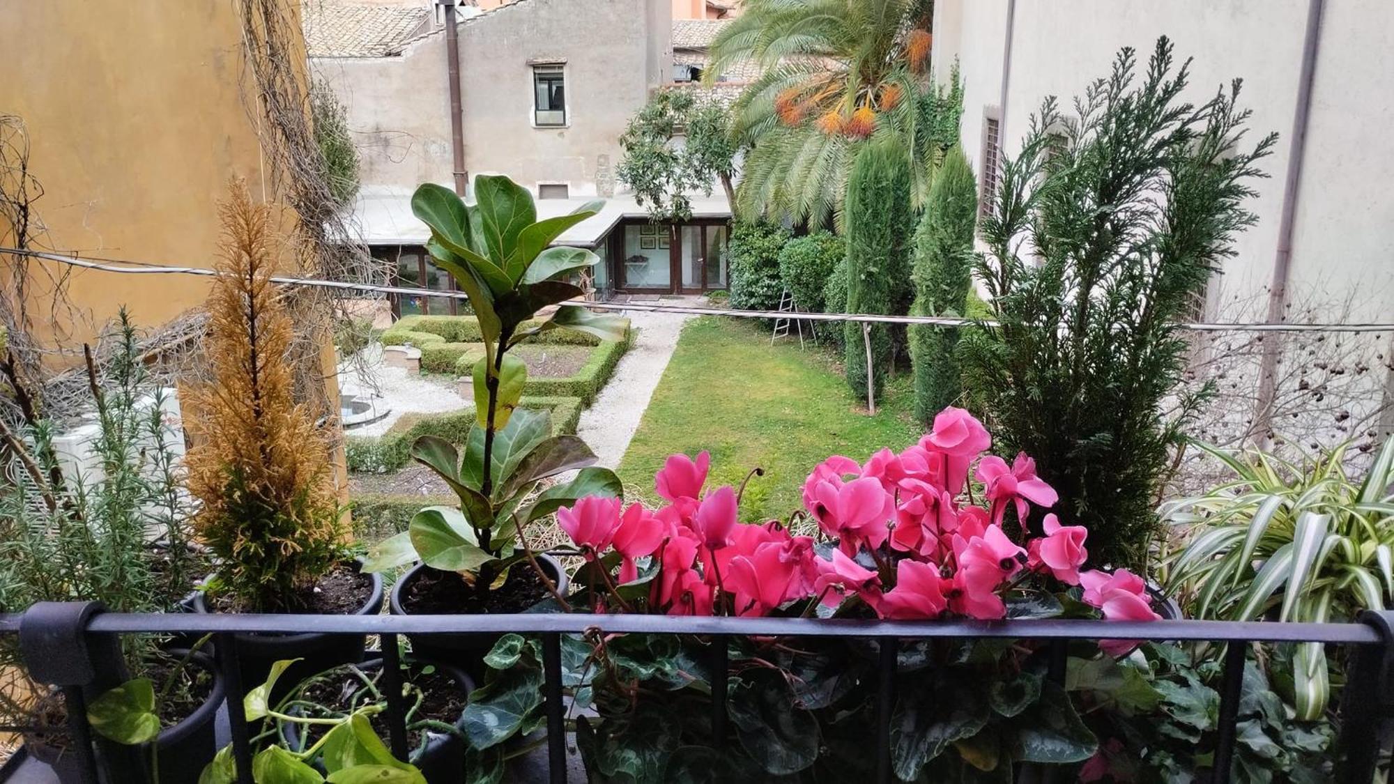 Ottantotto Viterbo Bed & Breakfast Dış mekan fotoğraf